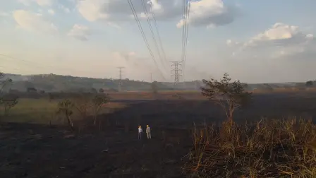 Incendio por la quema de plantaciones de caña en Quintana Roo, el 5 de abril de 2019. Foto: Twitter / @CFEmx