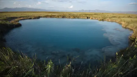 Cuatro Ciénegas ha perdido más del 70% de los cuerpos de agua en las últimas cuatro décadas por un mal manejo de ese recurso. Por ello, la organización civil Pronatura Noreste solicitó a la Comisión Nacional del Agua cancelar de inmediato los canales en desuso que drenan los humedales y desvían el agua de sus cauces naturales del valle Cuatro Ciénegas, en Coahuila. Esta acción contribuiría a evitar la pérdida de los humedales y la extinción de especies endémicas.
