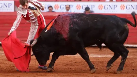 “Por voluntad no pararon los chavales”. Foto: Cortesía Plaza México.