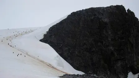 El calentamiento global provoca un aumento en el derretimiento de las capas de hielo alrededor del polo sur. El jueves 6 de febrero del 2020, la Antártida había registrado un máximo histórico en la temperatura del continente, alcanzando los 18.3ºC; el récord anterior era de 17,5ºC, en marzo del 2015.