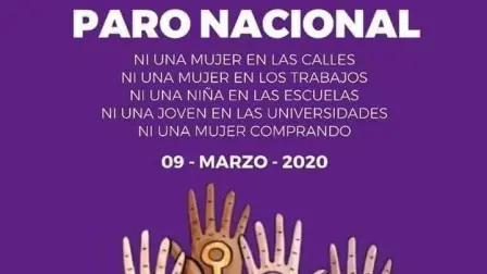 El 9 ninguna se mueve, señala la convocatoria al paro nacional de mujeres del 9 de marzo de 2020. Foto: Twitter @ccolmenaverde