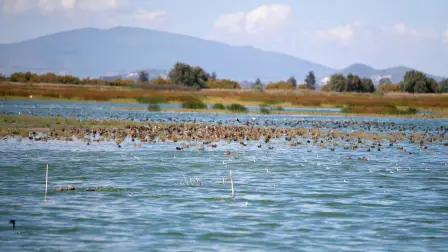 El lago de Texcoco. Foto Reuters.
