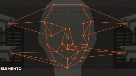 Ilustraciones: Ana Celaya / All City Canvas