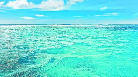 Los océanos también fueron fuertemente impactados por la pandemia debido a la contaminación. Foto: Shutterstock