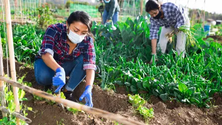 Proyectos productivos del campo en los que están involucradas mujeres son parte de los apoyo del FIRA con los recursos de su bono de género. Foto: Shutterstock
