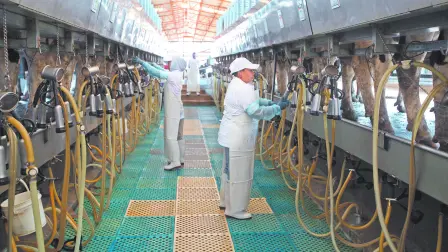 RANCHO DE ALPURA EN QUERETARO.