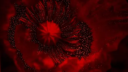 Foto: World Press Photo