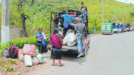 El crimen organizado se ha apoderado de las tierras de los pueblos originarios, alertó el análisis de la ONG. Foto: Cuartoscuro