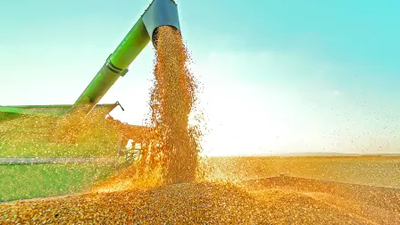 El trigo, un cereal de climas templados, se convirtió en pocos meses en un arma diplomática en el contexto de la invasión rusa contra Ucrania