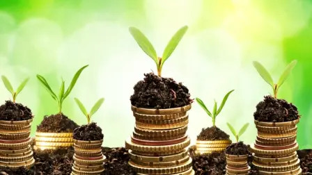 Los fondos verdes requieren un marco legal, así como estudios que indiquen la dirección del financiamiento. Foto: Especial.