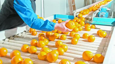 La principal preocupación es que el país no se inunde de alimentos “basura”