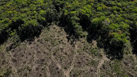 Vista aérea del bosque del Amazonas en Manaus. Foto: Reuters