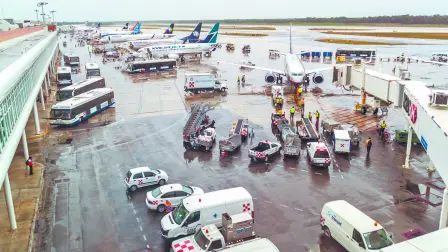 También se harán cargo de que se inspeccione el equipaje facturado antes de embarcarlo a bordo de un avión.