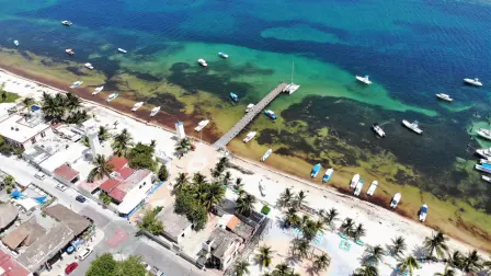 Puerto Morelos. Foto: Archivo EE