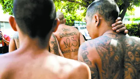 La presencia de la Mara Salvatrucha, por lo menos en Tapachula, lleva muchos años y siempre ha sido solamente de tránsito