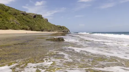 El olor del mar puede variar en composición e intensidad. Foto: Shutterstock