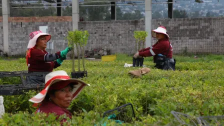 Unidades productivas agrícolas, otro modelo de conservación del hábitat. Foto EE: Rosario Servin