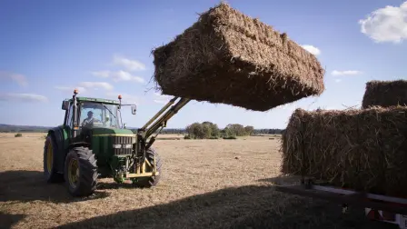 El Gobierno ruso aspira a fletar unas 200,000 toneladas antes de que acabe el año. Foto: Europa Press