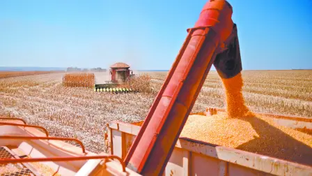 Las lluvias caídas en Brasil arrastraron a la baja los futuros de la soja, después de que el clima caluroso y seco perjudicó los cultivos de las zonas productoras del norte.