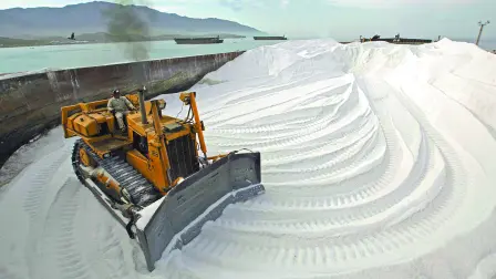 Desde el 1 de diciembre de 2018 al 30 de junio de 2023, la empresa ha producido un total de 30 millones 172,907 millones de toneladas de sal. 