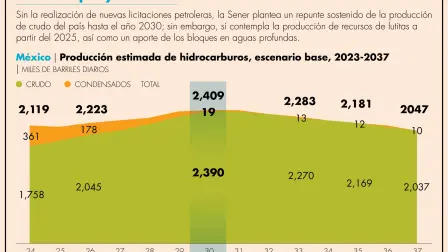 Dentro de las premisas consideradas por la dependencia federal para sostener sus pronósticos, destaca la relativa a los recursos shale