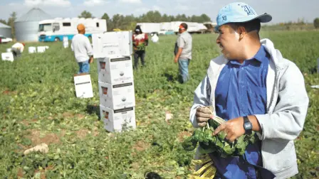 Los migrantes figuran entre las fuerzas laborales más flexibles, móviles y versátiles de EU. Foto: AFP