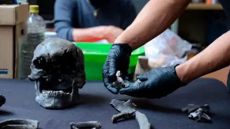 Estudios de antropología física identifican a Yotzin, que podría ser el único hombre precerámico descubierto en Santa Lucía. Foto EE: Cortesía INAH / Mauricio Marat