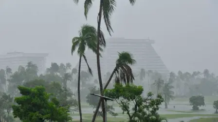 La noche del lunes, John golpeó la costa suroccidental de México como un poderoso huracán de categoría 3 en la escala de Saffir-Simpson.

¡Síguenos en nuestras redes sociales para mantenerte informado!

Twitter: https://twitter.com/eleconomista 
Facebook: https://www.facebook.com/ElEconomista.mx
Instagram: https://www.instagram.com/eleconomistamx
LinkedIn: https://www.linkedin.com/company/el-economista/

#ElEconomista #EETV