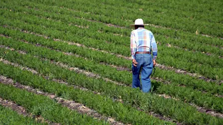 La relación trilateral de México, Estados Unidos y Canadá ha permitido lograr una autosuficiencia alimentaria del 112% como bloque comercial, la cual se podría ver afectada con la imposición de aranceles del nuevo gobierno de Donald Trump, en donde nuestro país vería afectado su principal mercado de exportación.

Para más información del tema, visita: https://www.eleconomista.com.mx/empresas/aranceles-nuevo-gobierno-trump-afectaran-relacion-agropecuaria-trilateral-gcma-20241112-733861.html

¡Síguenos en nuestras redes sociales para mantenerte informado!

Twitter: https://twitter.com/eleconomista 
Facebook: https://www.facebook.com/ElEconomista.mx
Instagram: https://www.instagram.com/eleconomistamx
LinkedIn: https://www.linkedin.com/company/el-economista/

#ElEconomista #EETV