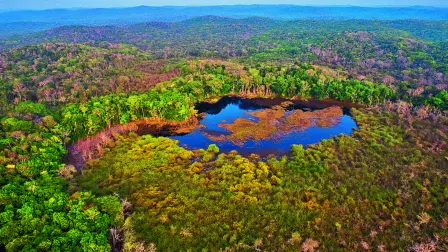 Apoyo. Las intervenciones no solo regeneran ecosistemas, sino que también generan empleo formal.
