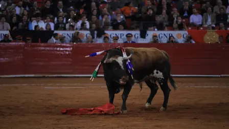 El matador Juan Pablo Sánchez en su participación en la Plaza México