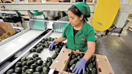 En la última década, entre julio y septiembre de cada año el mercado laboral acumulaba más de un millón de empleos generados, en 2024 sólo se han alcanzado 360,000 plazas durante este periodo.

Para más información del tema, visita: Para más información del tema, visita: https://www.eleconomista.com.mx/ 

¡Síguenos en nuestras redes sociales para mantenerte informado!

Twitter: https://twitter.com/eleconomista 
Facebook: https://www.facebook.com/ElEconomista.mx
Instagram: https://www.instagram.com/eleconomistamx
LinkedIn: https://www.linkedin.com/company/el-economista/

#ElEconomista #EETV