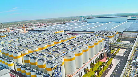 La producción, envasado y comercialización de bebidas de Constellation Brands en México se realizan en Coahuila y Sonora.