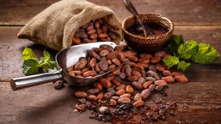 El cacao, un ingrediente esencial en la historia gastronómica de México, atraviesa una de las crisis más graves que se recuerdan. Lo que se esperaba como una amenaza para el futuro, impulsada por la alteración de los ciclos climáticos (2024 fue el año más caluroso jamás registrado en el mundo), llegó antes de lo previsto.