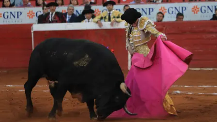 El matador Borja Jimenez, se llevó la noche en la Plaza de Toros la México, al cortar una oreja al toro Ron y Pan de la Ganadería José Garfias. Eric Lugo
