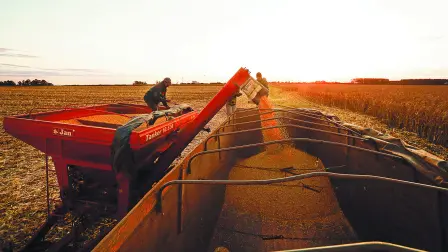 El precio del maíz se ha beneficiado por la preocupación de una sequía en Argentina.