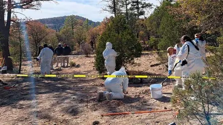 Según un reporte de la fiscalía estatal, al menos tres de los cuerpos fueron identificados como conductores de camiones de carga reportados como desaparecidos.

Para más información del tema, visita: https://www.eleconomista.com.mx/politica/fosas-clandestinas-fgr-investiga-hallazgo-72-cadaveres-chihuahua-20250129-744146.html

¡Síguenos en nuestras redes sociales para mantenerte informado!

Twitter: https://twitter.com/eleconomista 
Facebook: https://www.facebook.com/ElEconomista.mx
Instagram: https://www.instagram.com/eleconomistamx
LinkedIn: https://www.linkedin.com/company/el-economista/

#ElEconomista #EETV