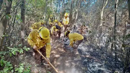 En la región de Ñuble, personal del Regimiento N° 9 "Chillán"  del Ejército de Chile se encuentra desplegado en las comunas de San Ignacio y Pinto, para apoyar a la Corporación Nacional Forestal en el combate de los incendios forestales en la zona.