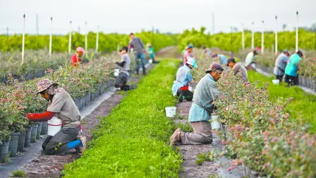 Las remesas tienen menor relevancia en estados turísticos y en las grandes economías estatales.
