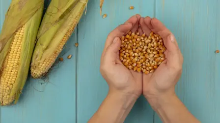 El dictamen será turnado a la Cámara de Senadores para su aprobación.

Para más información del tema, visita: https://www.eleconomista.com.mx/politica/diputados-aprueban-iniciativa-prohibir-cultivo-maiz-transgenico-fallo-t-mec-20250225-747934.html

¡Síguenos en nuestras redes sociales para mantenerte informado!

Twitter: https://twitter.com/eleconomista 
Facebook: https://www.facebook.com/ElEconomista.mx
Instagram: https://www.instagram.com/eleconomistamx
LinkedIn: https://www.linkedin.com/company/el-economista/

#ElEconomista #EETV