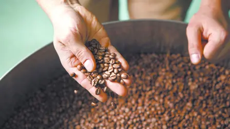 Starbucks no solo apoya la producción de café,  también impulsa el bienestar de las comunidades