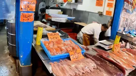 Pescados y Mariscos
