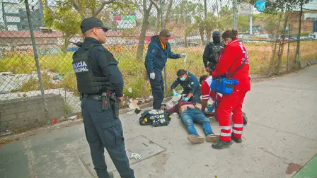 Descripción automática