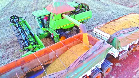 Descripción automática