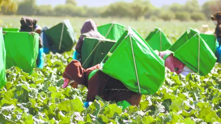 Descripción automática