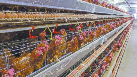 Descripción automática