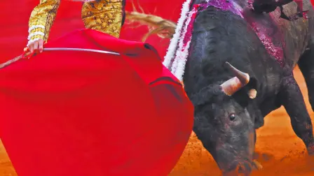 Descripción automática