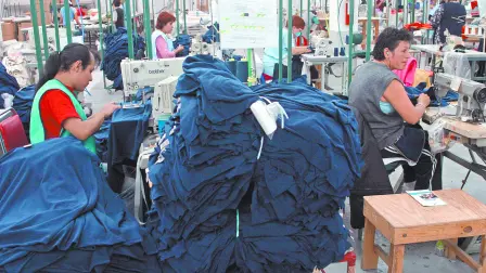 Descripción automática