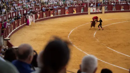 El objetivo de la prohibición es transformar las corridas en un “espectáculo sin violencia”, respetando los derechos de los seres vivos.

Para más información del tema, visita: https://www.eleconomista.com.mx/politica/cdmx-publica-gaceta-oficial-reforma-prohibe-corridas-toros-violencia-20250325-751989.html

¡Síguenos en nuestras redes sociales para mantenerte informado!

Twitter: https://twitter.com/eleconomista 
Facebook: https://www.facebook.com/ElEconomista.mx
Instagram: https://www.instagram.com/eleconomistamx
LinkedIn: https://www.linkedin.com/company/el-economista/

#ElEconomista #EETV