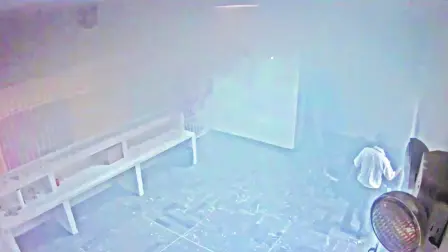 Descripción automática